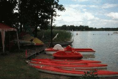 Wypożyczalnia sprzętu Aqua Fan